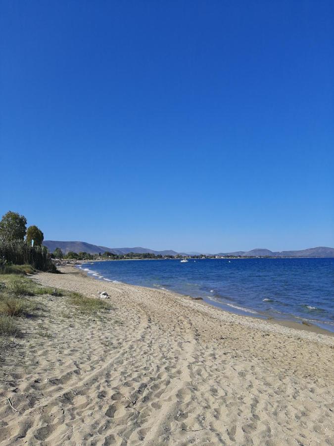 Cozy Flat In Nea Makri Daire Dış mekan fotoğraf